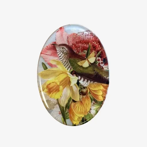 Tanya Wolfkamp Native Bird Fridge Magnet – Cuckoo