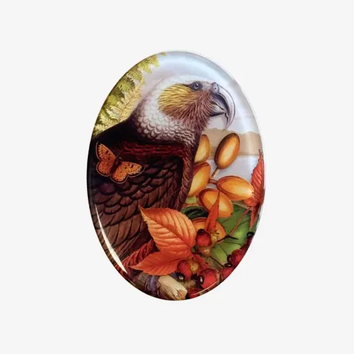 Tanya Wolfkamp Native Bird Fridge Magnet – Kākā