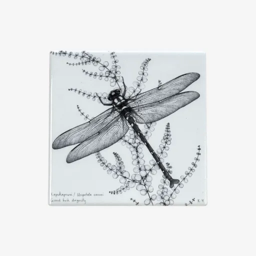 Katy Hayward Ceramic Coaster – Kapokapowai Dragonfly