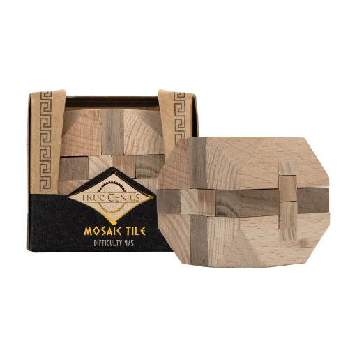 Project Genius Mini Brainteaser – Mosaic Tile